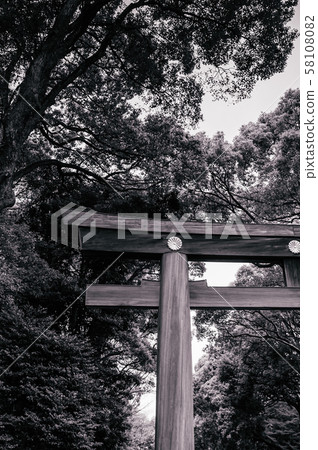 Wooden Torii gate of Meiji Jingu Shrine under big tree 58108082