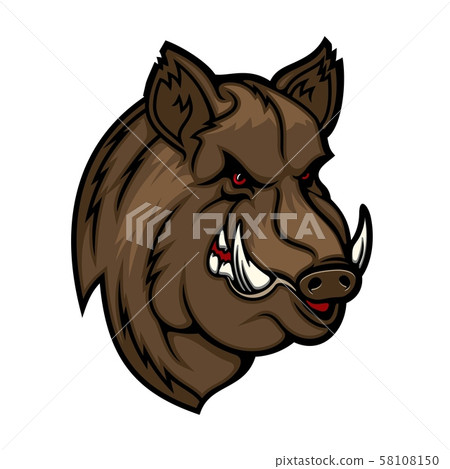 Angry Boar Head Mascot Wild Pig Or Hog Icon Stock Illustration