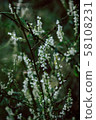 beautiful wild flowers on nature dark background. 58108231