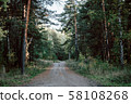 road through dark forest in autumn. Vintage outdoor photo 58108268