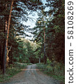 road through dark forest in autumn. Vintage outdoor photo 58108269