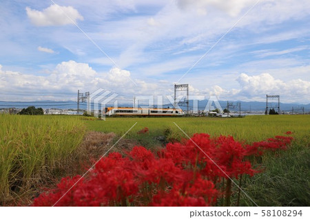 Autumn view of Yamatoji 58108294