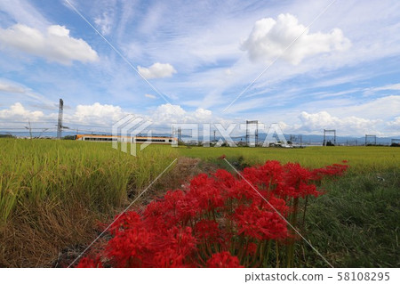 Autumn view of Yamatoji 58108295