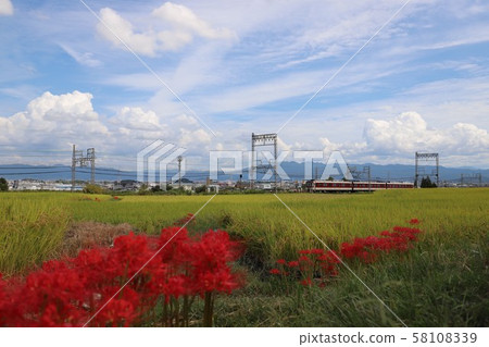Autumn view of Yamatoji 58108339