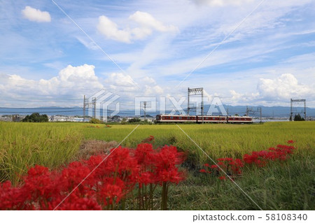 Autumn view of Yamatoji 58108340