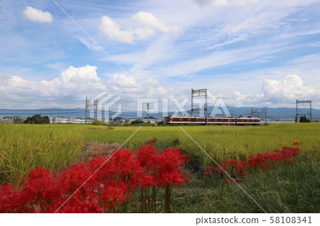 Autumn view of Yamatoji 58108341