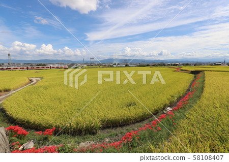 Autumn view of Yamatoji Autumn view of Yamatoji 58108407