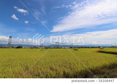 Autumn view of Yamatoji 58108447