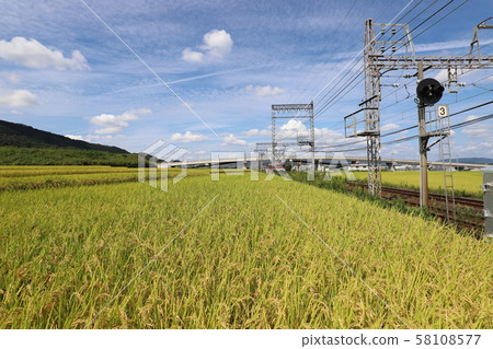 Autumn view of Yamatoji 58108577