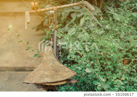 Antique rusty bicycle parked for decoration in garden 58108617