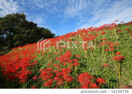 Nara Prefecture Higanka Road Nara Prefecture Higanka Road 58108756