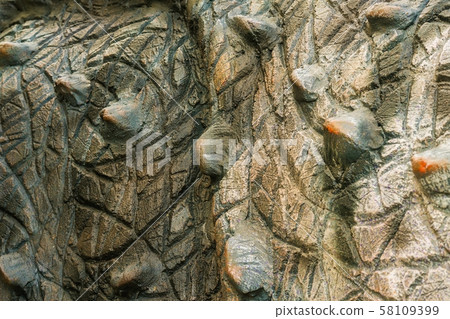 Close up to Colorful and patterns of dinosaur Close up to Colorful and patterns of dinosaur 58109399