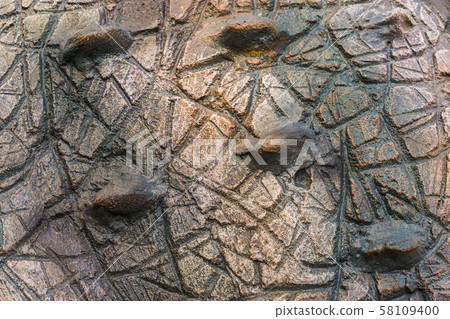 Close up to Colorful and patterns of dinosaur Close up to Colorful and patterns of dinosaur 58109400