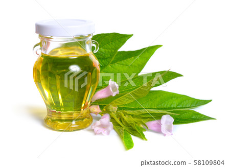 Sesame oil with plant isolated on white background 58109804