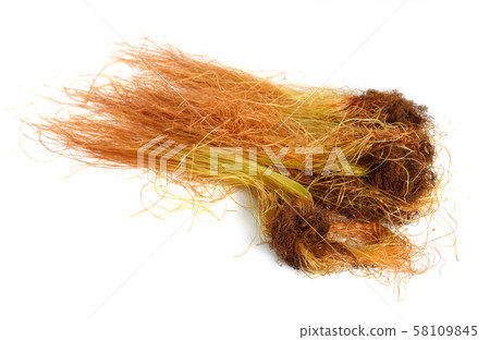 Corn or mature silk isolated on white background 58109845