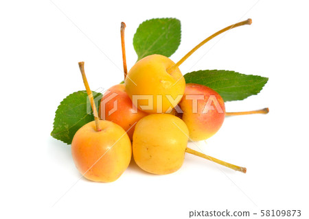 Malus baccata known by the common names Siberian 58109873