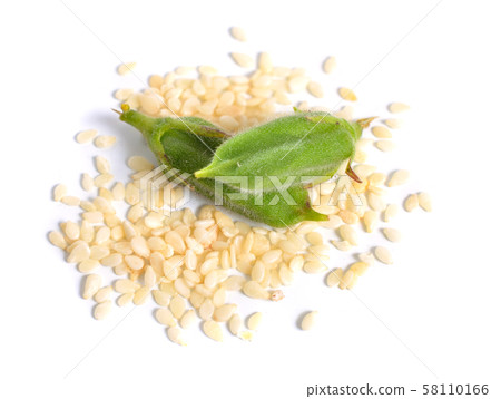 Sesame green pods with seed isolated on white 58110166