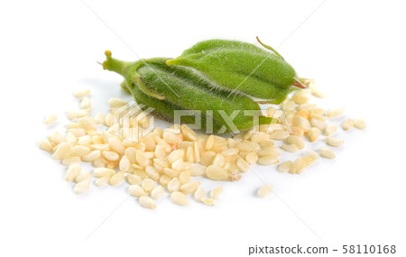 Sesame green pods with seed isolated on white 58110168
