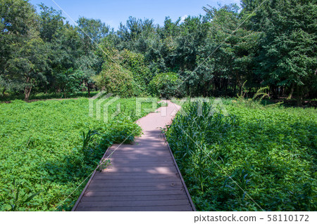 Sa玉市Minuma Nature Park Midori Ward 58110172