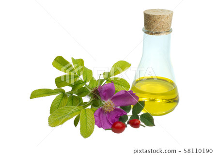 Purple rose with green leaves, rose hips and oil Purple rose with green leaves, rose hips and oil 58110190