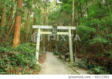 天堂般的岩手（江原水坑） 58111902