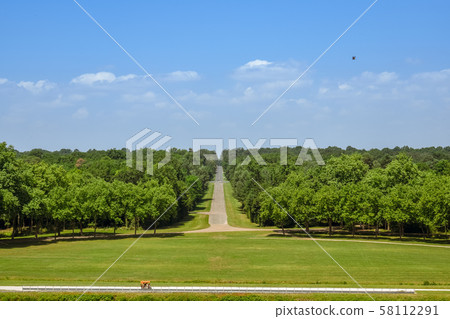 Long asphalt straight road through the forest. 58112291