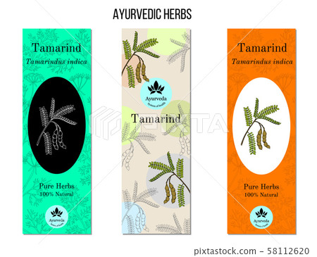 Ayurvedic herbs banners. Tamarind Tamarindus indica Ayurvedic herbs banners. Tamarind Tamarindus indica 58112620