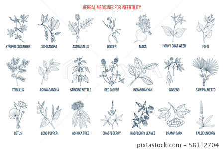 Best herbs for infertility 58112704