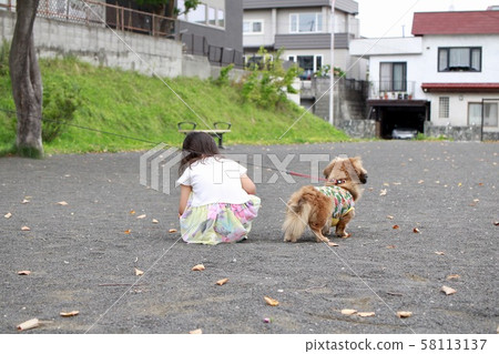 3-year-old girl and miniature dachshund playing in the park 58113137