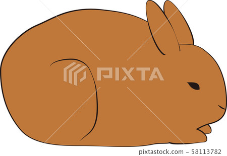 Rabbit Rabbit 58113782