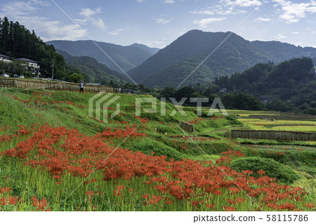 (Sa玉縣)秩父/寺坂露台 (Sa玉縣)秩父/寺坂露台 58115786