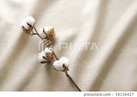 Cotton linen Cotton linen 58116427