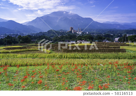 (Saitama Prefecture) Terasaka Terrace in Chichibu 58116513