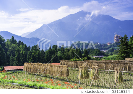 (Saitama Prefecture) Terasaka Terrace in Chichibu 58116524