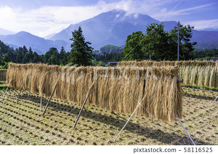 (Saitama Prefecture) Terasaka Terrace in Chichibu 58116525
