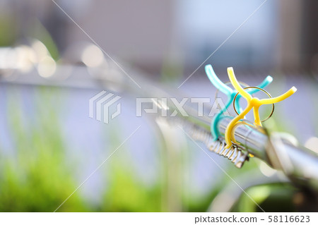 晾衣夾和晾衣繩 晾衣夾和晾衣繩 58116623