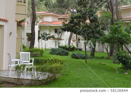 Villas decorated with flowers at VILLA, Greece. View from the terrace of luxury villa 58116844