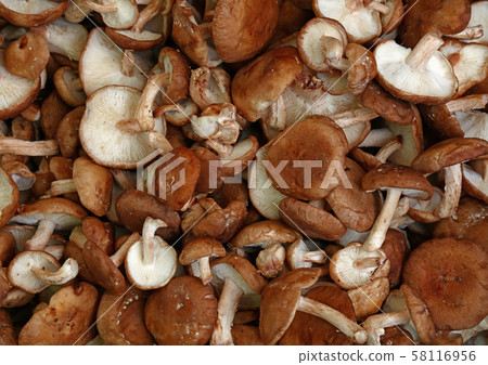 Shiitake edible mushrooms at retail display Shiitake edible mushrooms at retail display 58116956