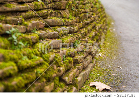 An old stone wall with moss and autumn leaf An old stone wall with moss and autumn leaf 58117185