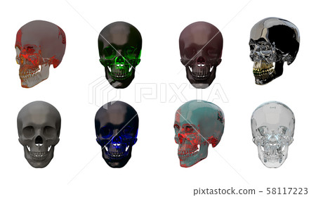 3d rendering illustration of skull anatomy collection 3d rendering illustration of skull anatomy collection 58117223