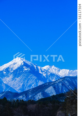 Winter lotus seen from Nakayama Plateau 58117304