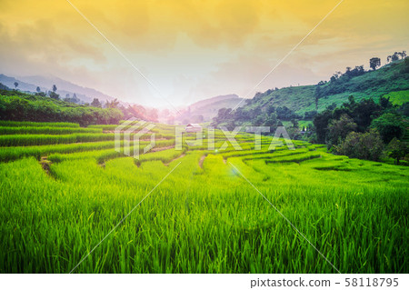 beautiful rice field terrace at Chiang Mai 58118795