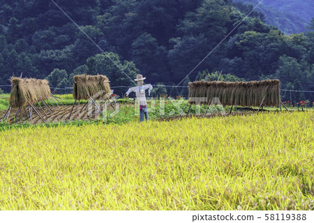 (Saitama Prefecture) Chichibu, Terasaka Rice Terraces 58119388
