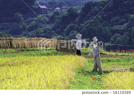 （Sa玉縣）秩父，梯坂水稻梯田 58119389