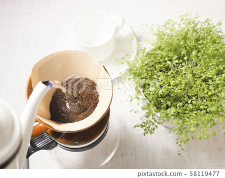 Drip coffee and coffee cup and houseplant Drip coffee and coffee cup and houseplant 58119477