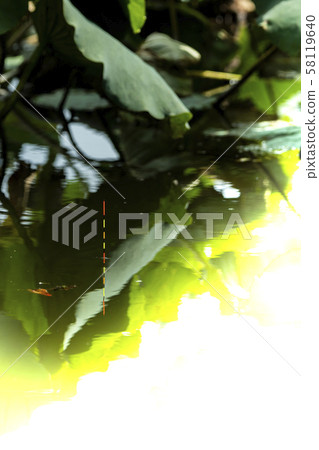 Spatula floating spatula fishing copy space 58119640