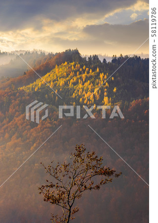 autumnal mountain scenery at foggy sunrise 58119786