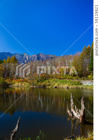 Niigata / Nagano / Autumn leaves of Akiyama-go / Amaike 58119821