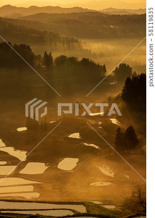 新潟,年糕的水稻梯田 新潟,年糕的水稻梯田 58119835