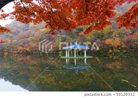 Woohwajeong, Maple, Naejangsan, Sunchang, Jeonbuk 58120332